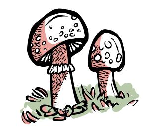 another fly agaric doodle