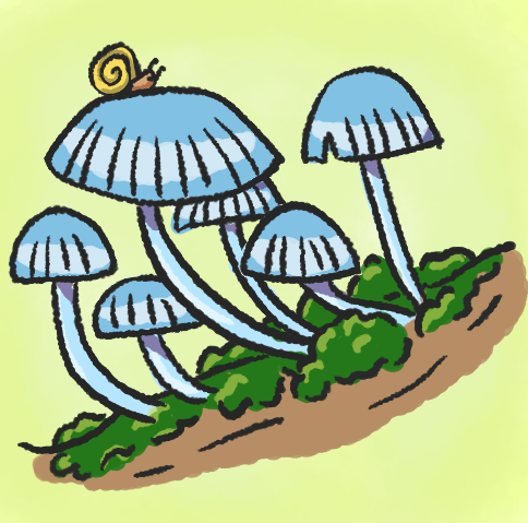 little sketch of a snail on a mushroom